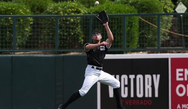 Mar 20, 2017; Phoenix, AZ, USA; Chicago White Sox center fielder Peter Bourjos (44) makes the leaping catch in the third inning during a spring training game against the San Francisco Giants at Camelback Ranch. Photo Credit: Rick Scuteri-USA TODAY Sports