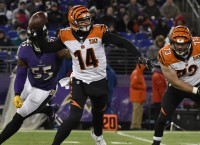 Bengals searching for big bodies