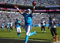 Panthers' Newton (foot) goes on IR, season over