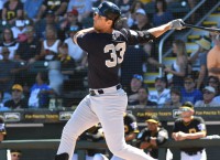 Yankees 1B Bird to get X-rays on elbow